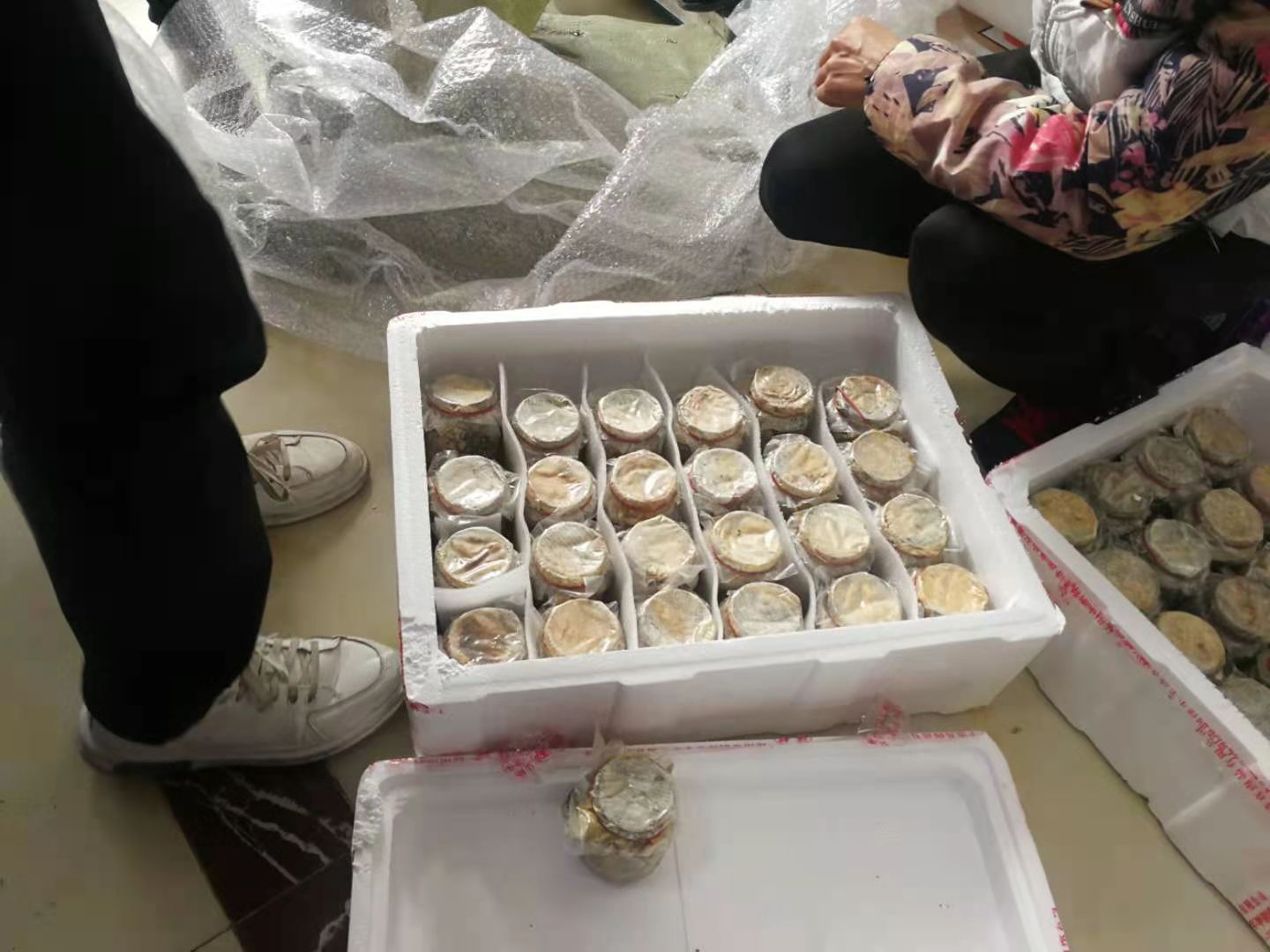 成都航空货运公司是什么