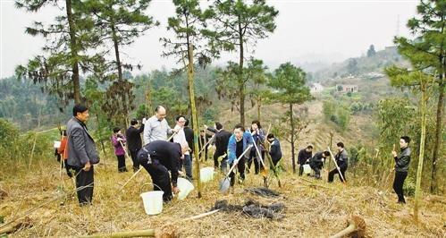 鞍山市-手植河边柳，早晚见成林