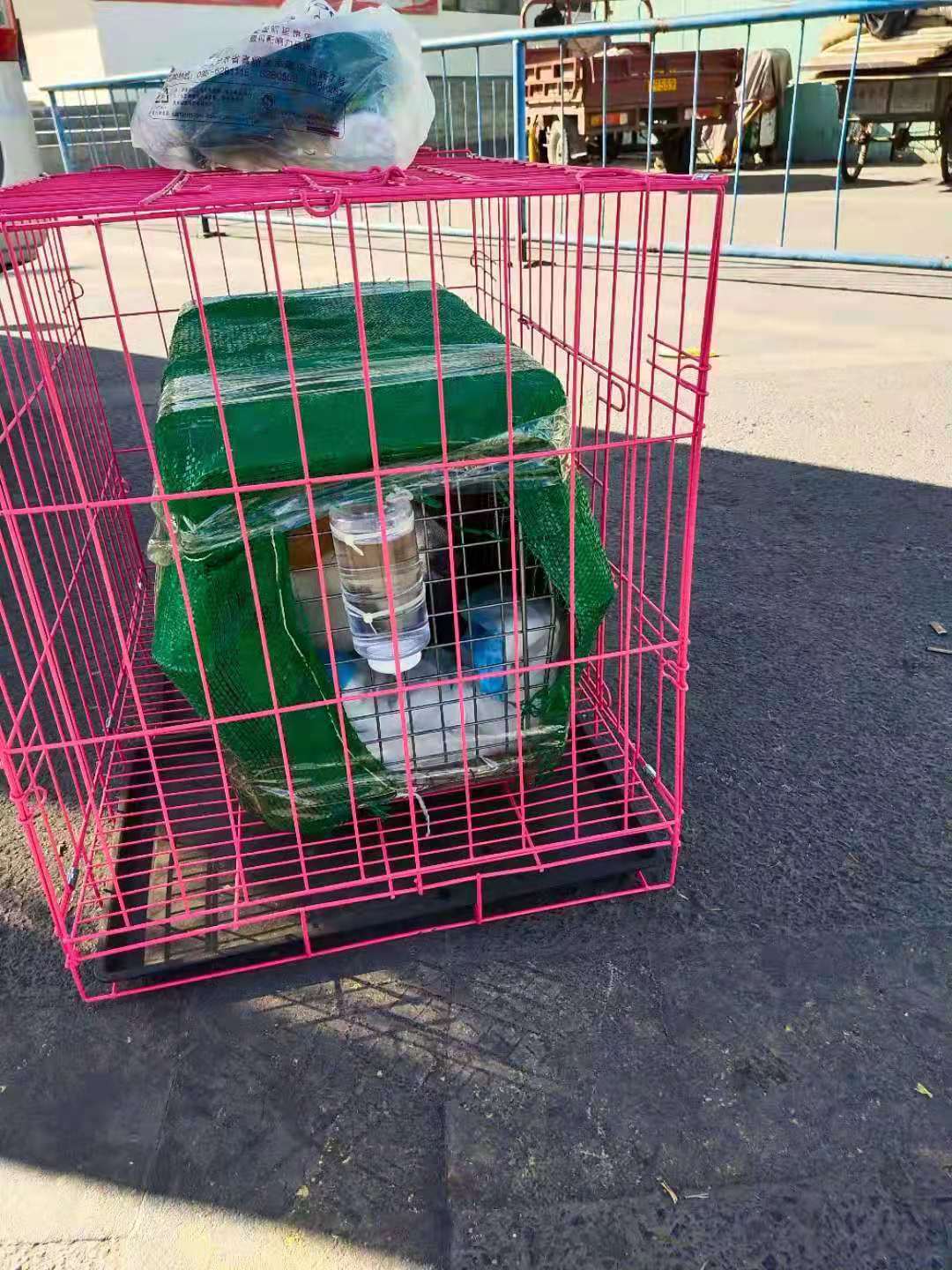 株洲市-大家都知道哪些货可以空运值得空运吗？-限时达空运物流公司